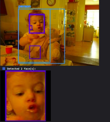 A person with a bounding box, two boxed face regions, and one cropped face shown as classified output.
